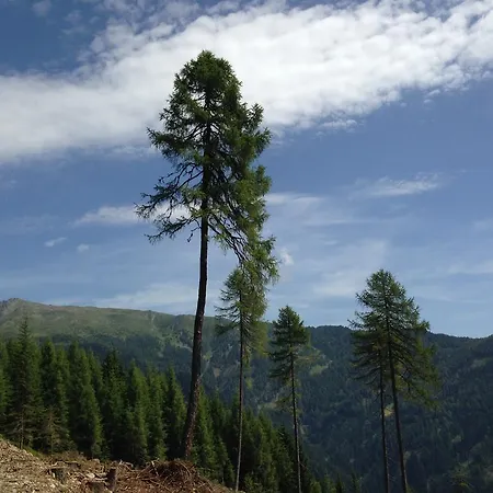 Apartamento Walter's *