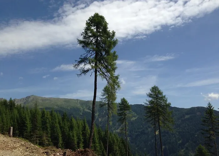 Apartmán Walter's *