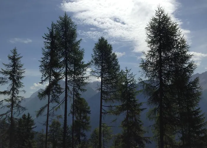 Apartmán Walter's *